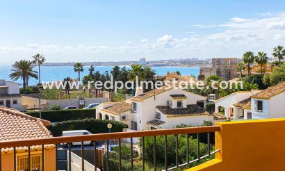 Apartments - Short Term Rental - Torrevieja -
                La Recoleta