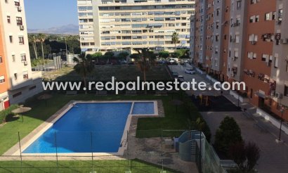 Appartement - Herverkoop -
            Alicante - MC-66905