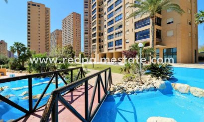 Appartement - Herverkoop - Benidorm - Costa Blanca