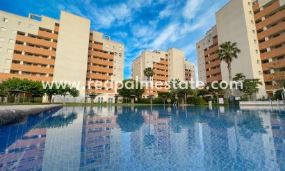 Appartement - Herverkoop - Guardamar del Segura - Costa Blanca