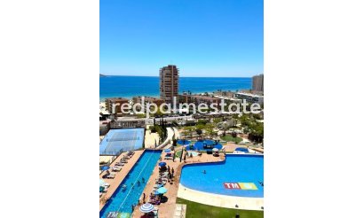 Appartement - Revente - Benidorm - Costa Blanca