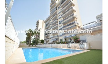Appartement - Revente -
            Guardamar del Segura - MR2-94960