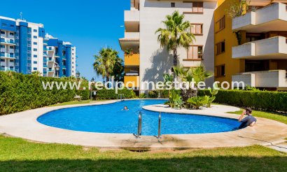 Appartement - Revente -
            Orihuela Costa - MR2-61274