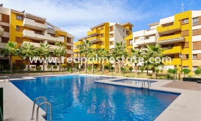 Appartement - Revente - Punta Prima - Costa Blanca