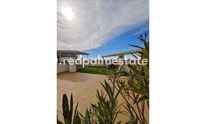 Appartement - Revente - San Miguel de Salinas - San Miguel de Salinas