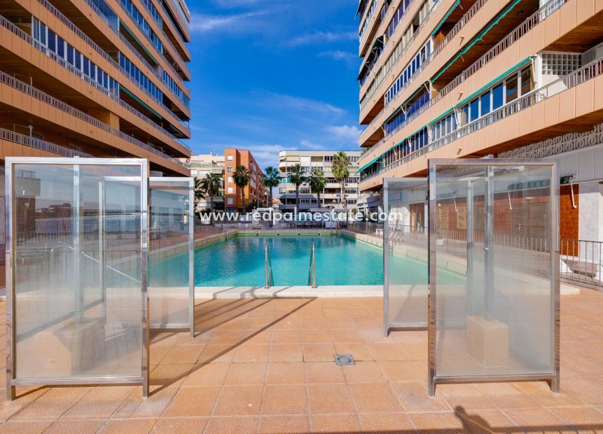  - Appartement -
Torrevieja - El Acequión - Los Náufragos