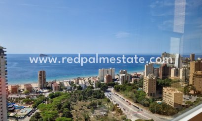 Appartements - Revente - Benidorm - Benidorm