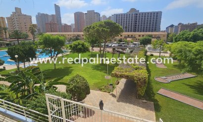 Appartements - Revente - Benidorm - Benidorm