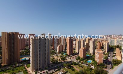 Appartements - Revente - Benidorm - Benidorm