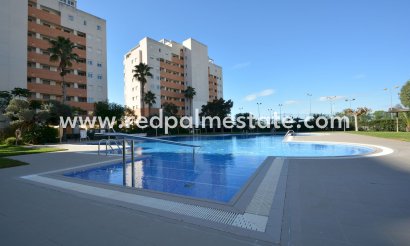 Appartements - Revente - Guardamar del Segura - Guardamar