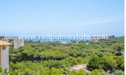 Appartements - Revente - Orihuela Costa - Dehesa de campoamor