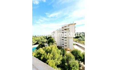 Appartements - Revente - Orihuela Costa - Dehesa de campoamor