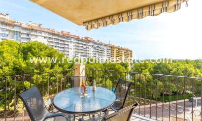 Appartements - Revente - Orihuela Costa - Orihuela Costa