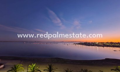 Appartements - Revente - San Pedro del Pinatar - Lo pagan