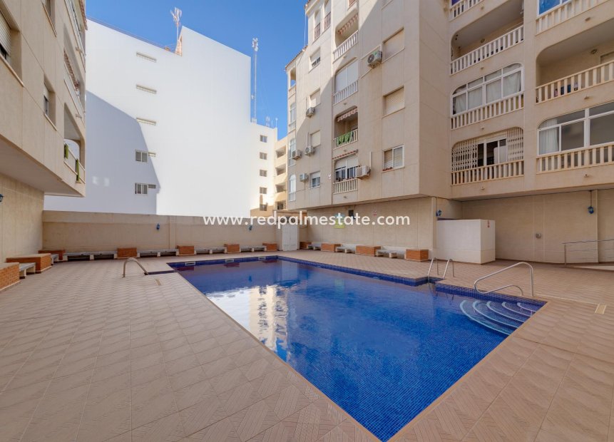 Återförsäljning - Apartamento -
Torrevieja - El Acequión - Los Náufragos