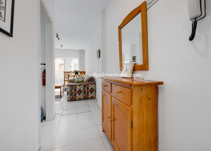 Återförsäljning - Apartamento -
Torrevieja - El Acequión - Los Náufragos