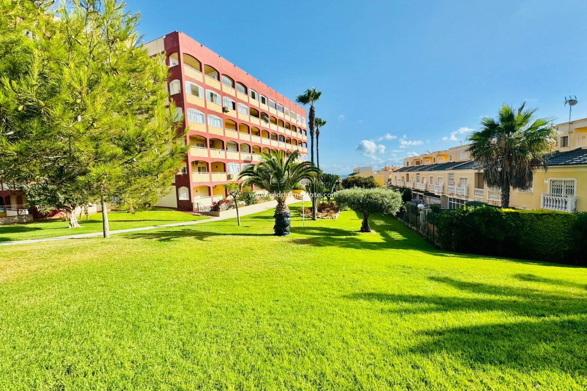 Återförsäljning - Apartamento -
Torrevieja - La Mata