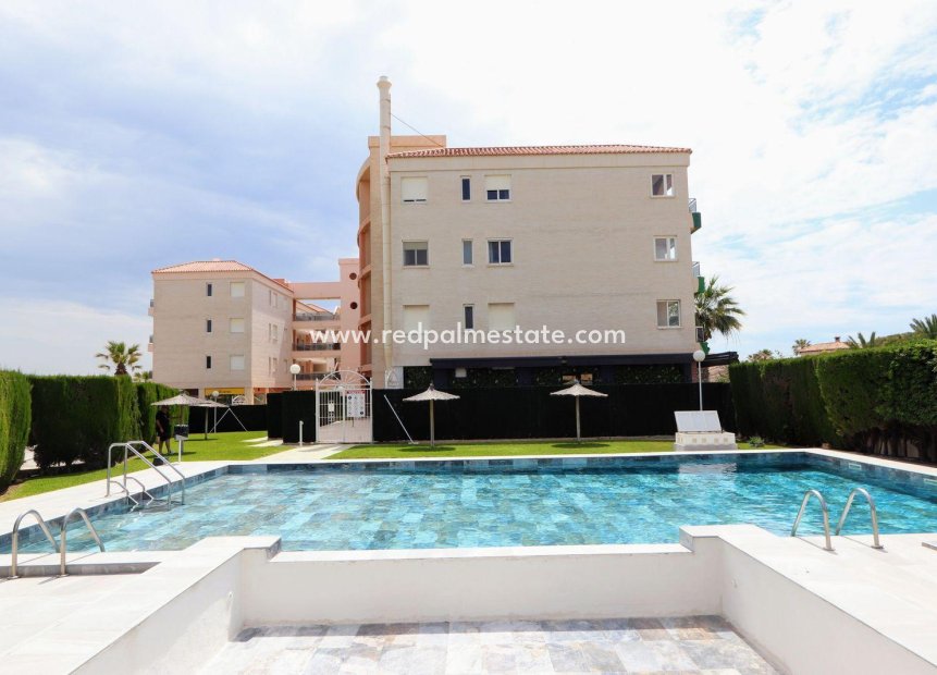 Återförsäljning - Apartamento -
Torrevieja - Playa Flamenca