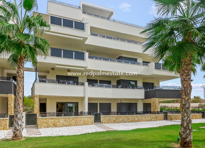 Återförsäljning - Bottenvåning -
Torrevieja - Los Balcones - Los Altos del Edén