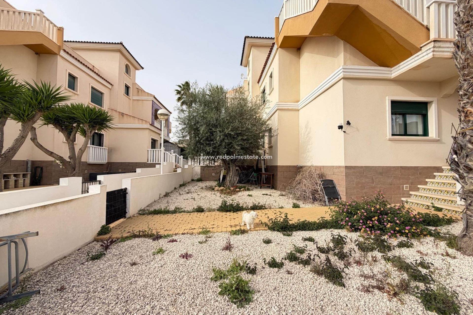 Återförsäljning - Bungalow -
Ciudad Quesada/Rojales - Doña Pepa