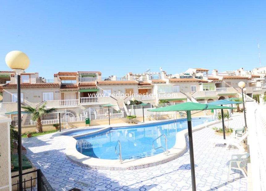 Återförsäljning - Bungalow -
Guardamar del Segura - Costa Blanca