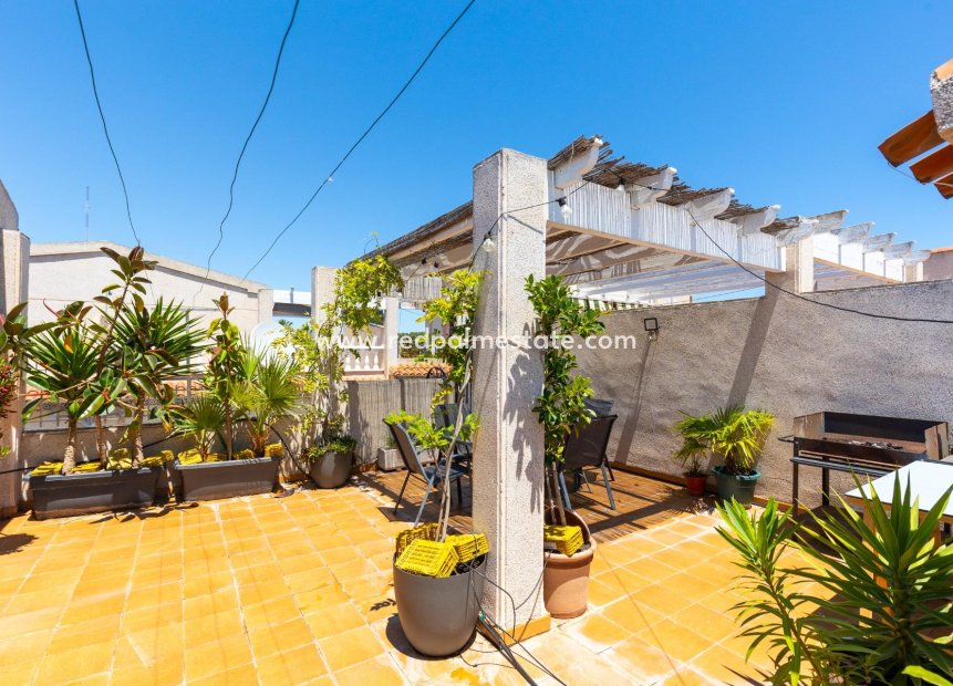 Återförsäljning - Bungalow -
Guardamar del Segura - El Moncayo