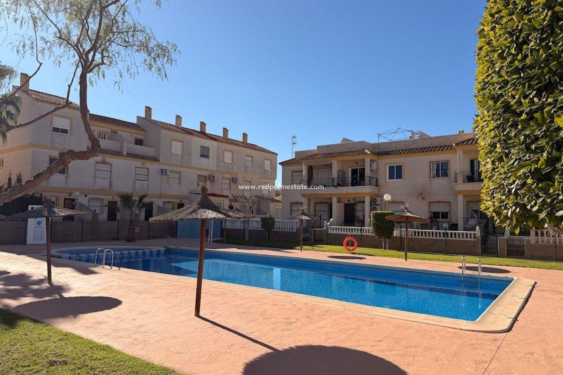 Återförsäljning - Bungalow -
Orihuela Costa - Costa Blanca