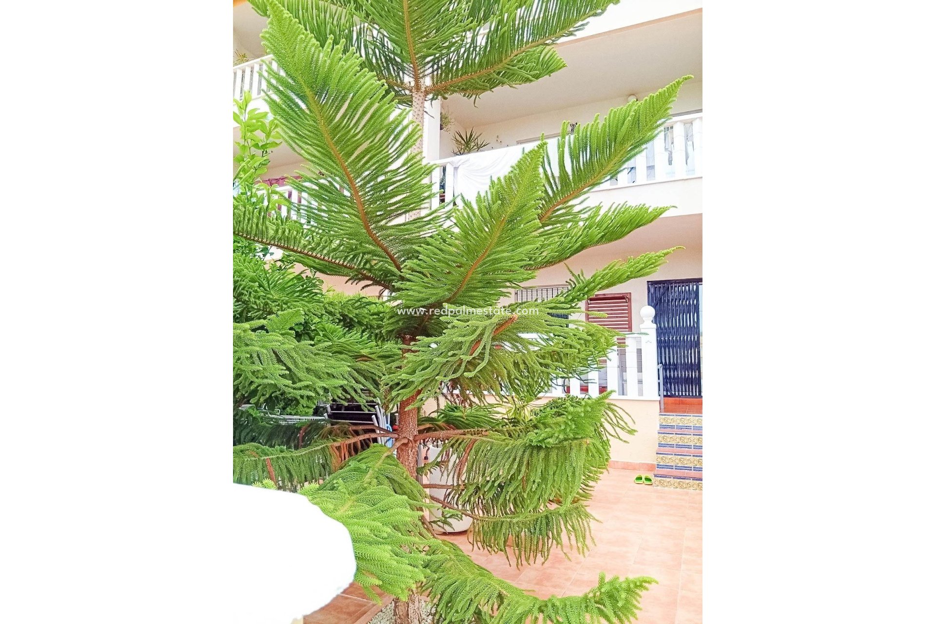 Återförsäljning - Bungalow -
Orihuela Costa - Lomas De Cabo Roig-los Dolses