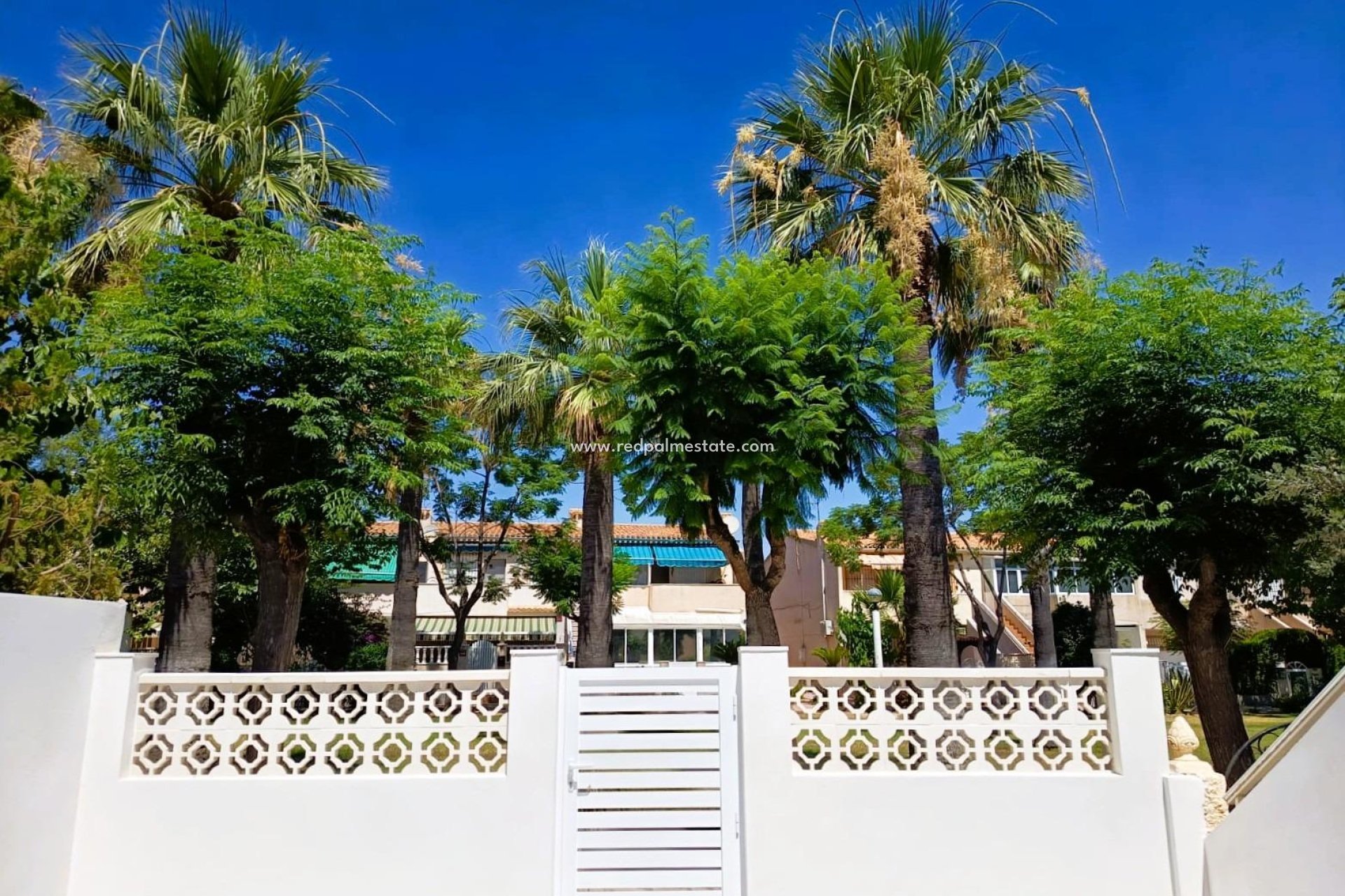 Återförsäljning - Bungalow -
Orihuela Costa