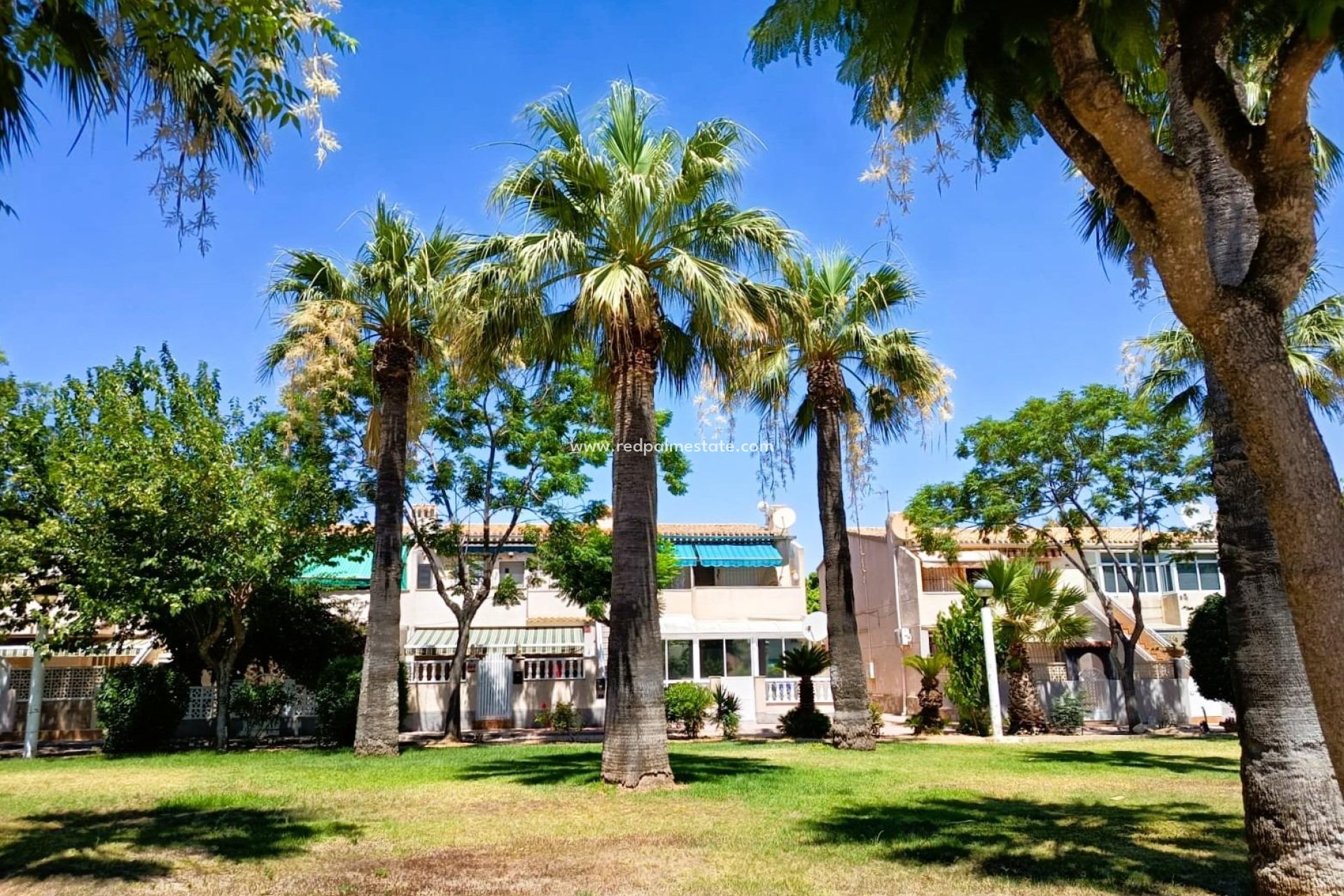 Återförsäljning - Bungalow -
Orihuela Costa