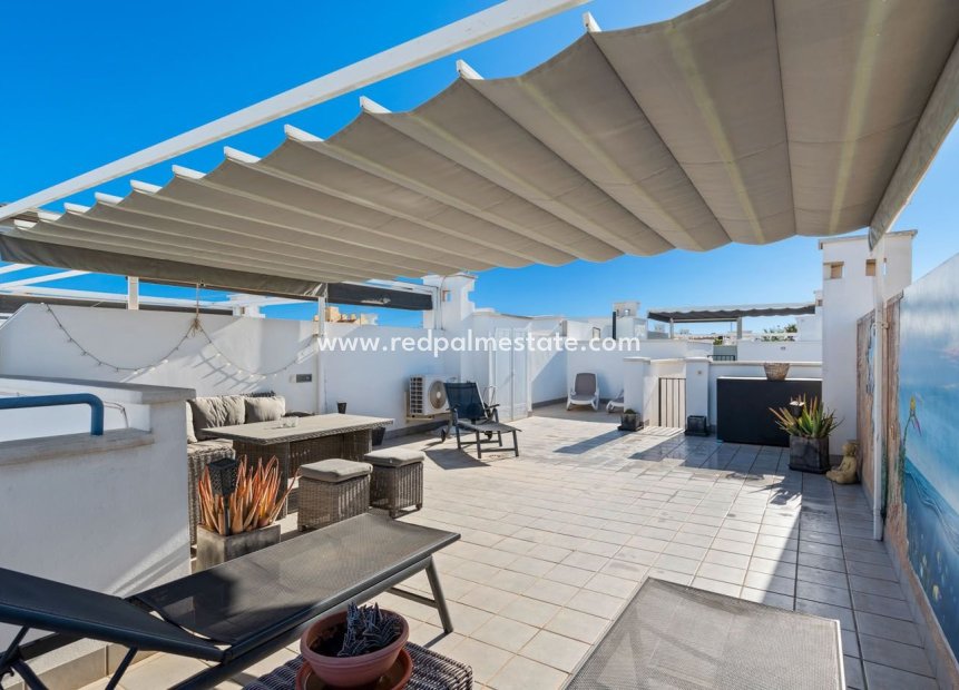 Återförsäljning - Bungalow -
Torrevieja - Aguas Nueva