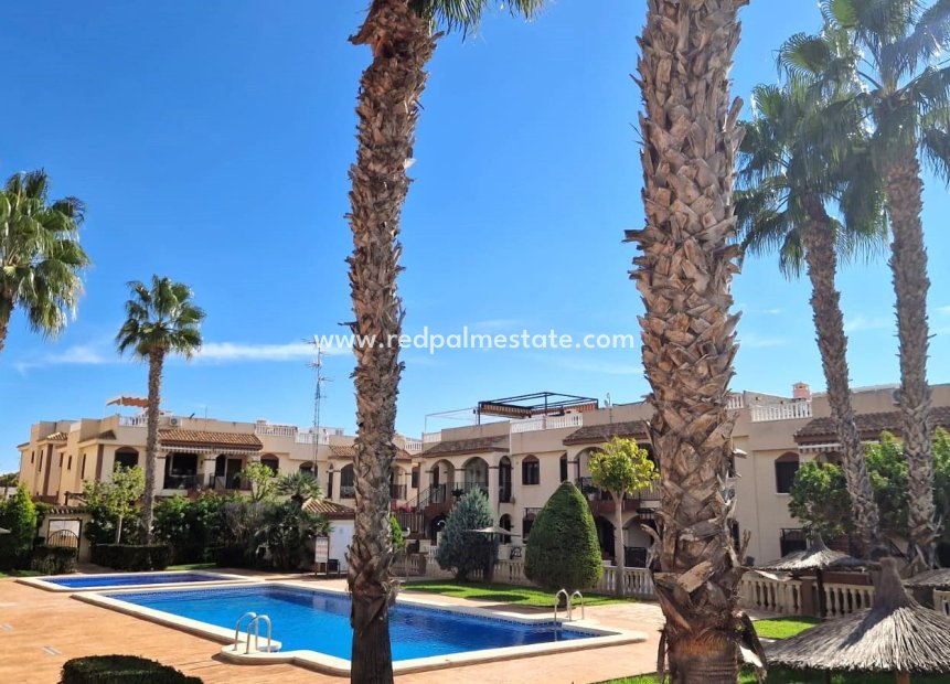 Återförsäljning - Bungalow -
Torrevieja - Aguas Nueva