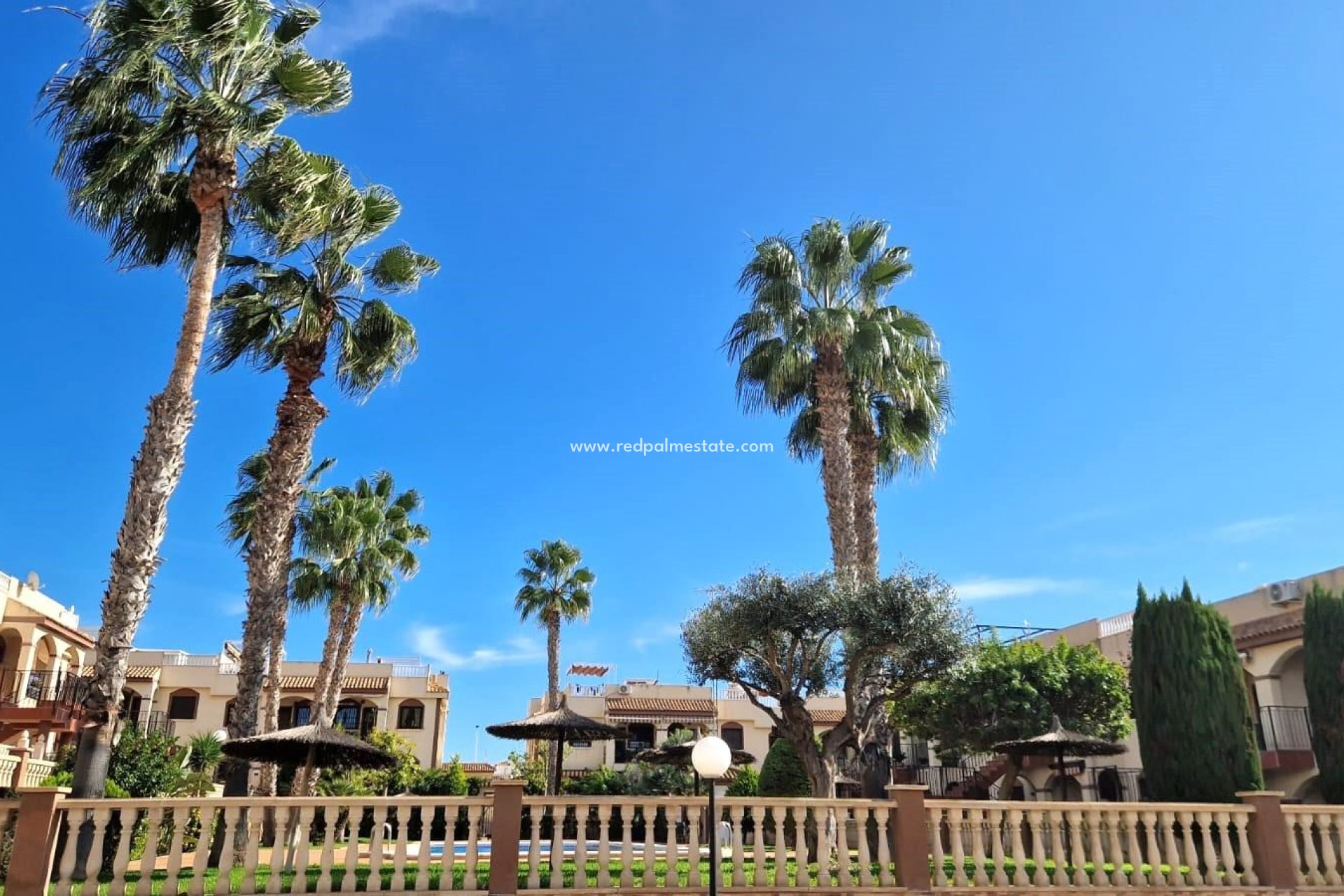 Återförsäljning - Bungalow -
Torrevieja - Aguas Nueva