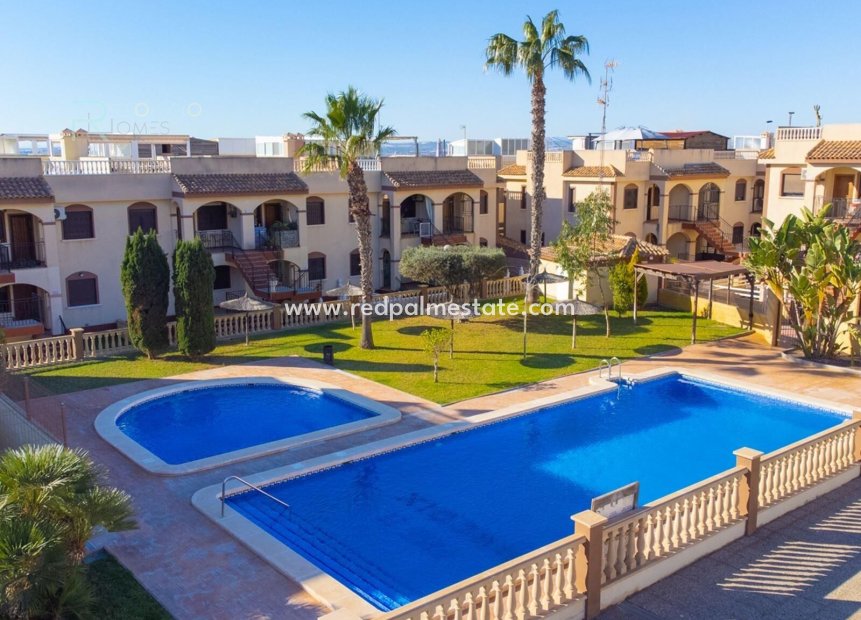 Återförsäljning - Bungalow -
Torrevieja - Aguas Nuevas