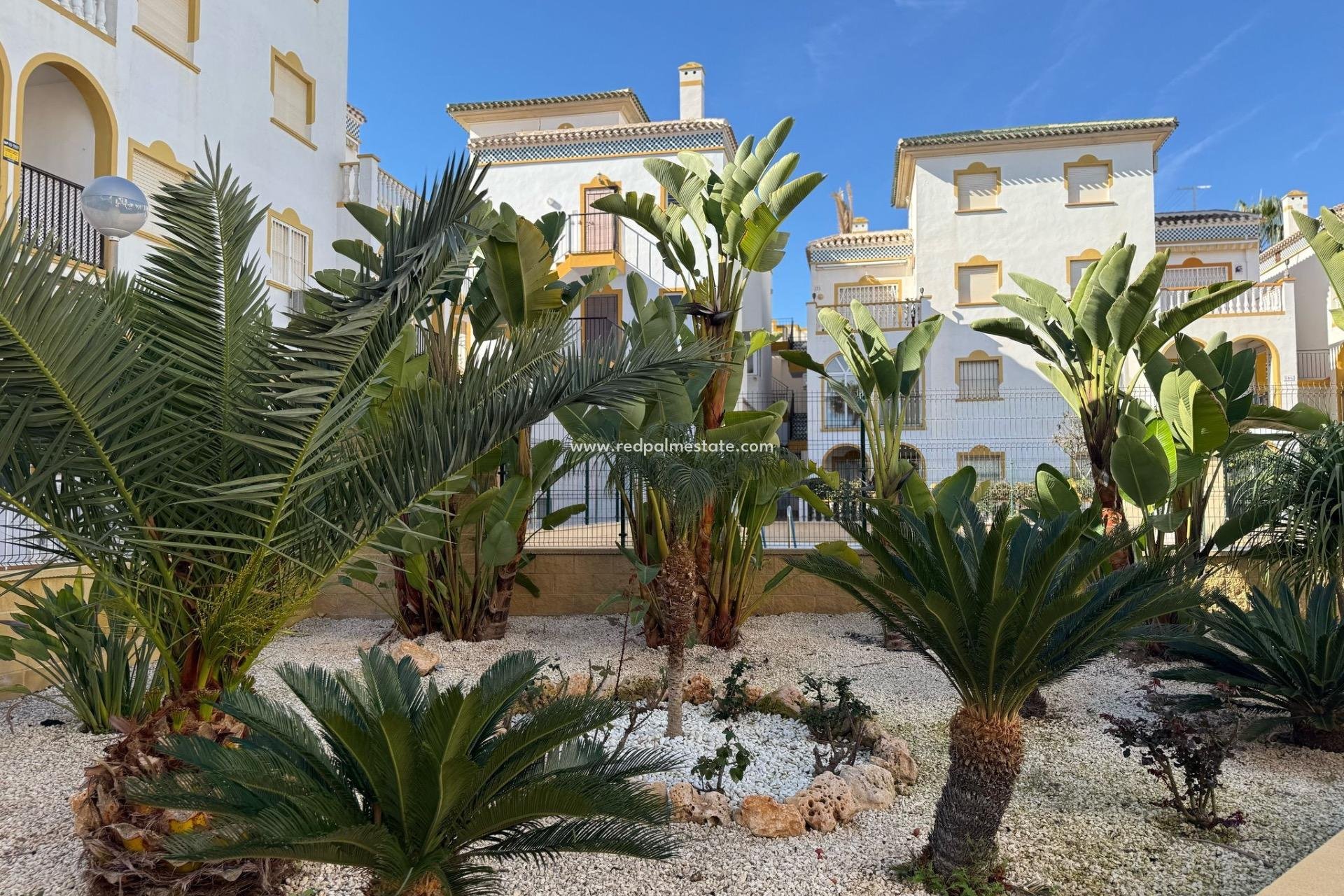 Återförsäljning - Bungalow -
Torrevieja - Cañada Del Molino
