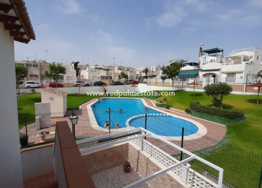 Återförsäljning - Bungalow -
Torrevieja - Costa Blanca