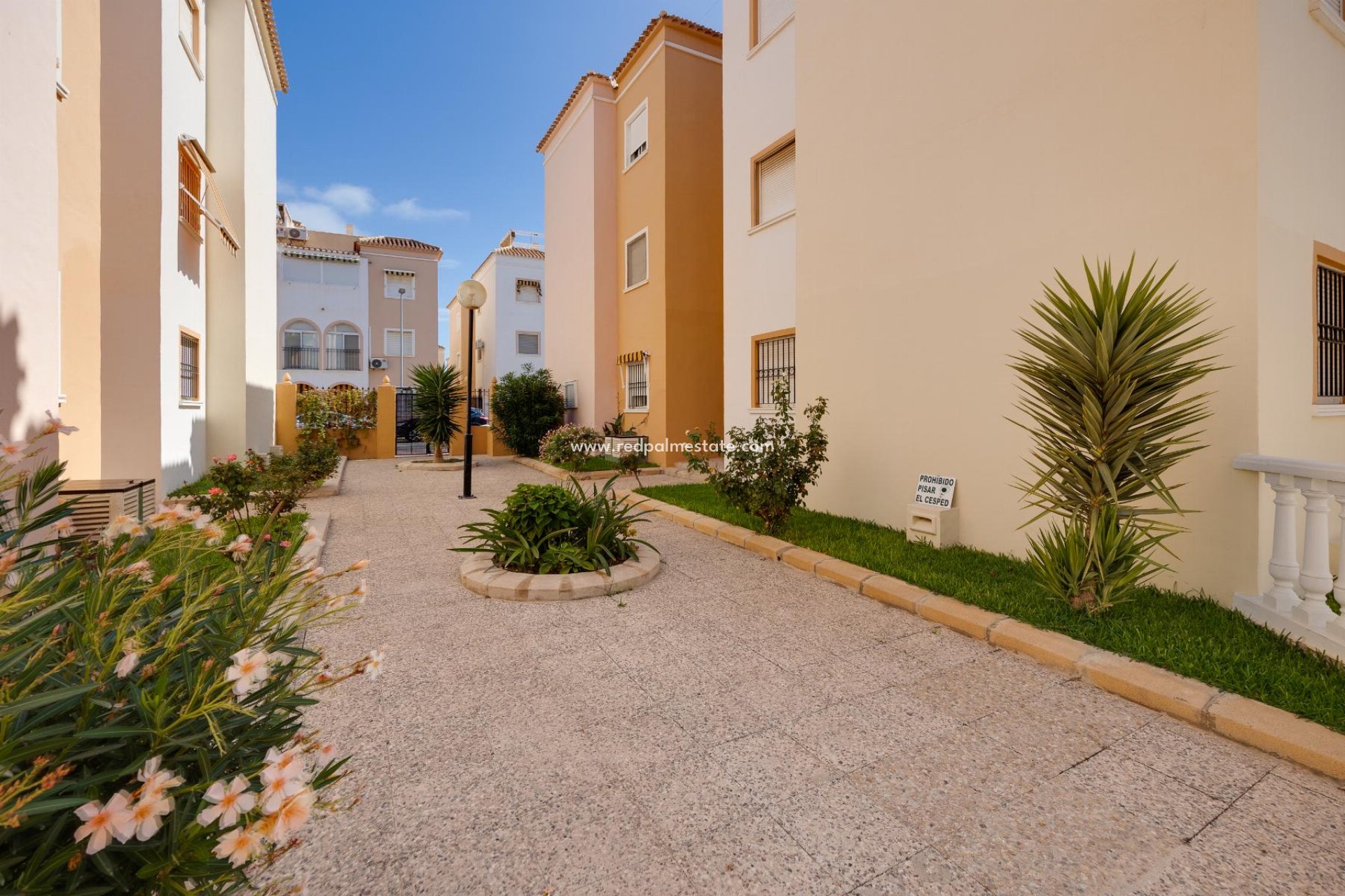 Återförsäljning - Bungalow -
Torrevieja - Costa Blanca