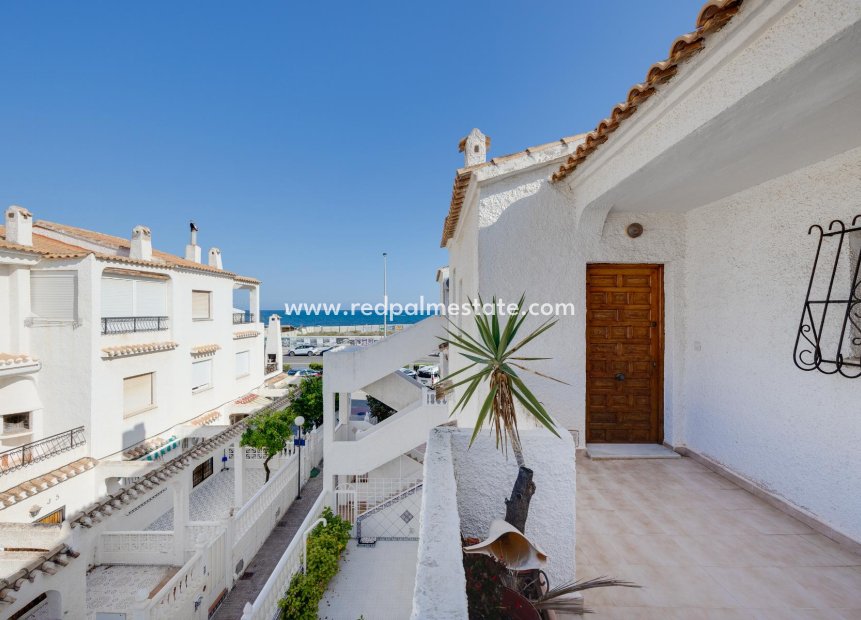 Återförsäljning - Bungalow -
Torrevieja - Costa Blanca