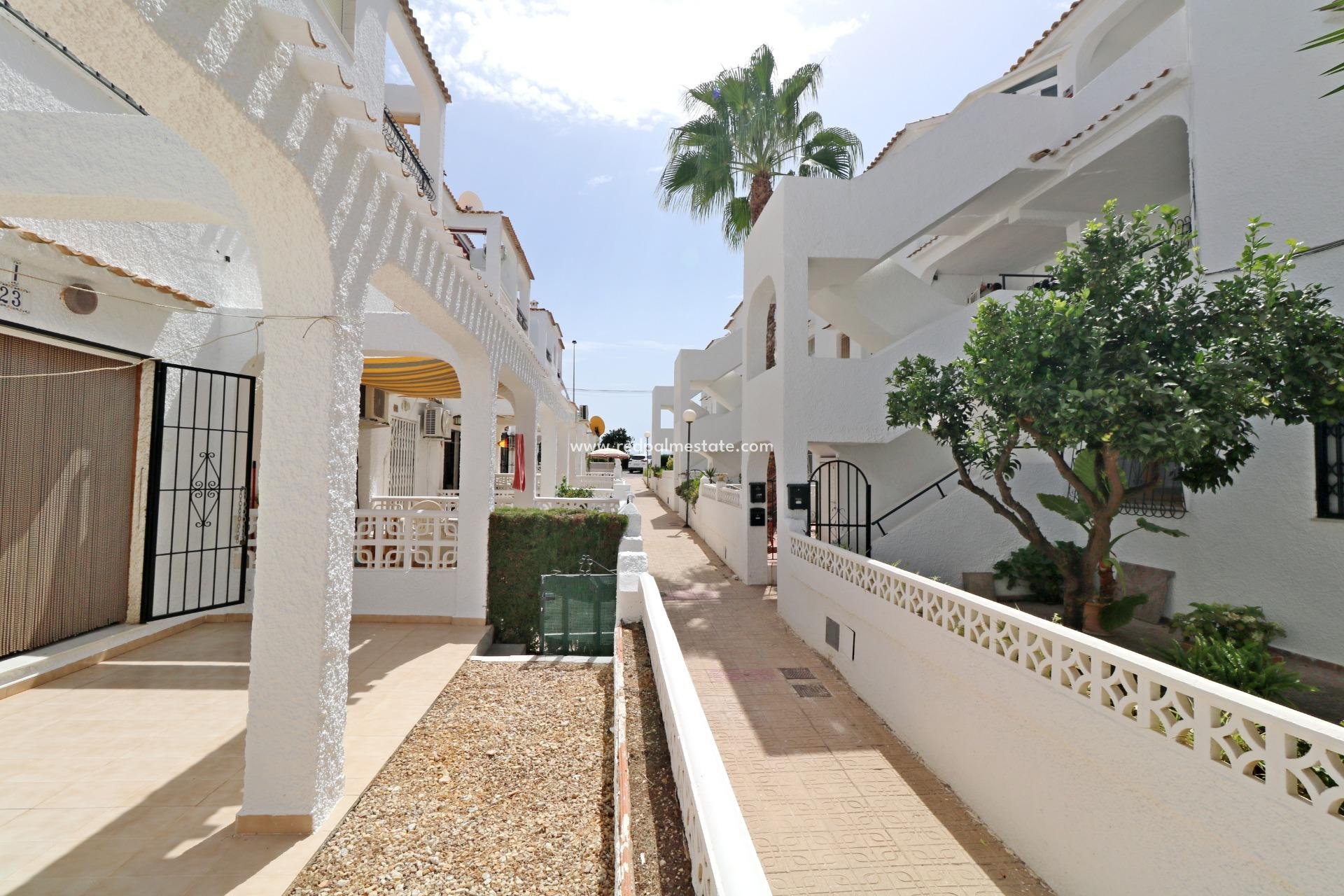Återförsäljning - Bungalow -
Torrevieja - El Acequión - Los Náufragos