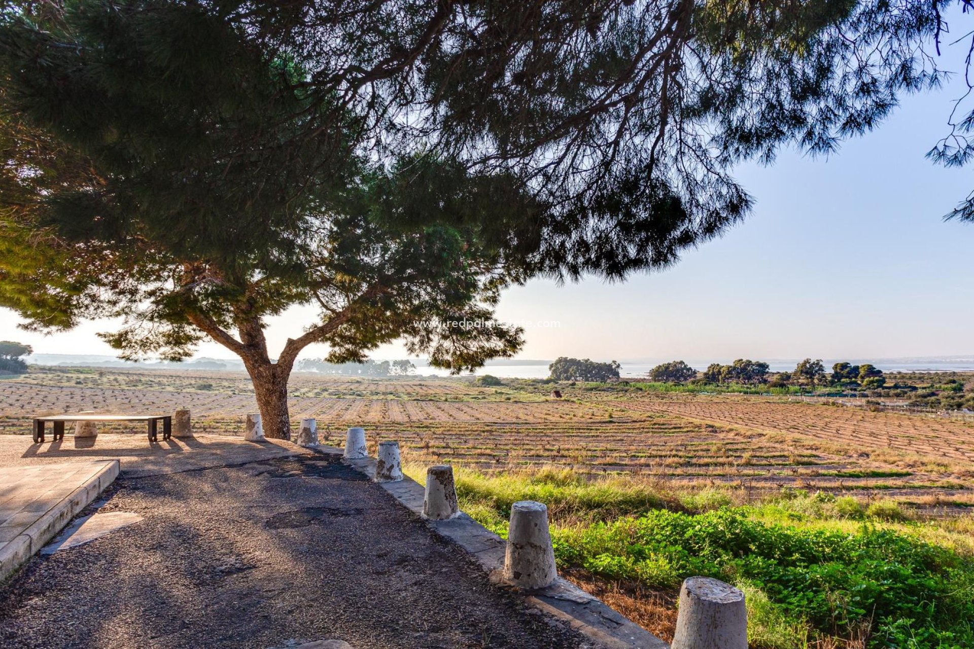 Återförsäljning - Bungalow -
Torrevieja - La Siesta - El Salado - Torreta