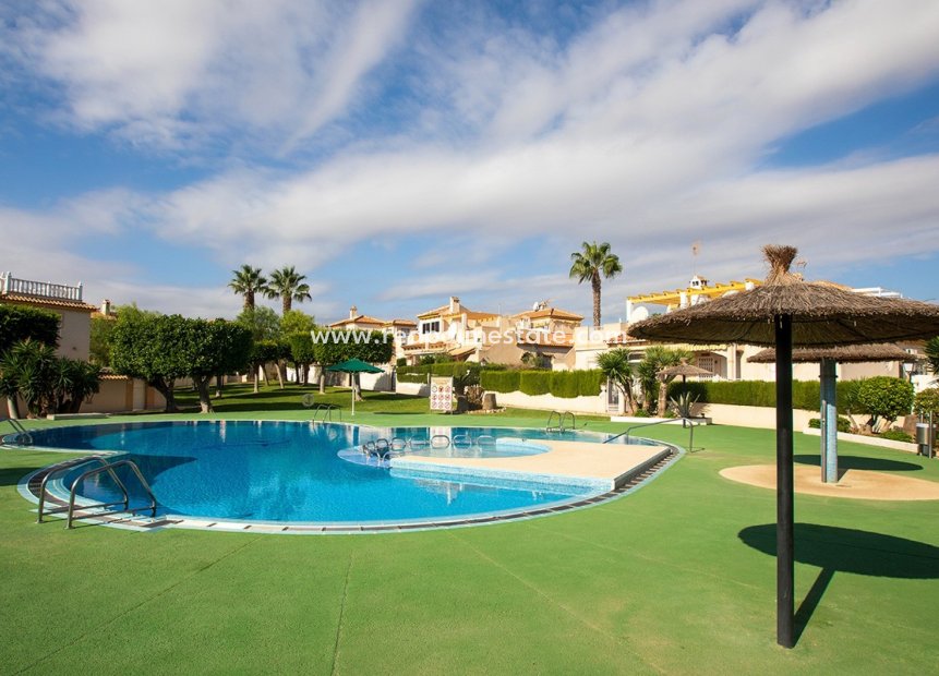 Återförsäljning - Bungalow -
Torrevieja - Los Altos