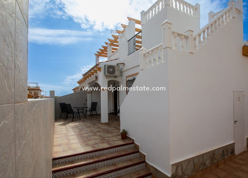 Återförsäljning - Bungalow -
Torrevieja - Los Altos