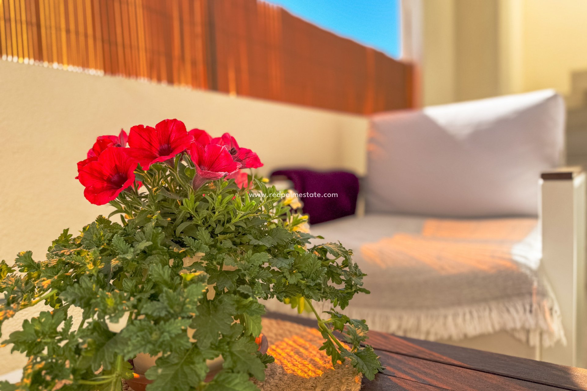 Återförsäljning - Bungalow -
Torrevieja - Los Altos