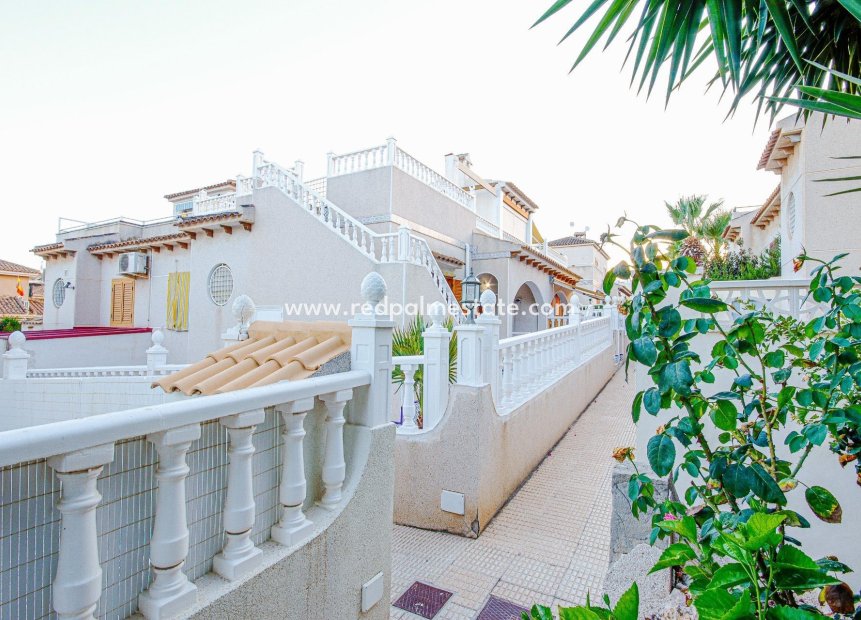 Återförsäljning - Bungalow -
Torrevieja - Los Balcones - Los Altos del Edén