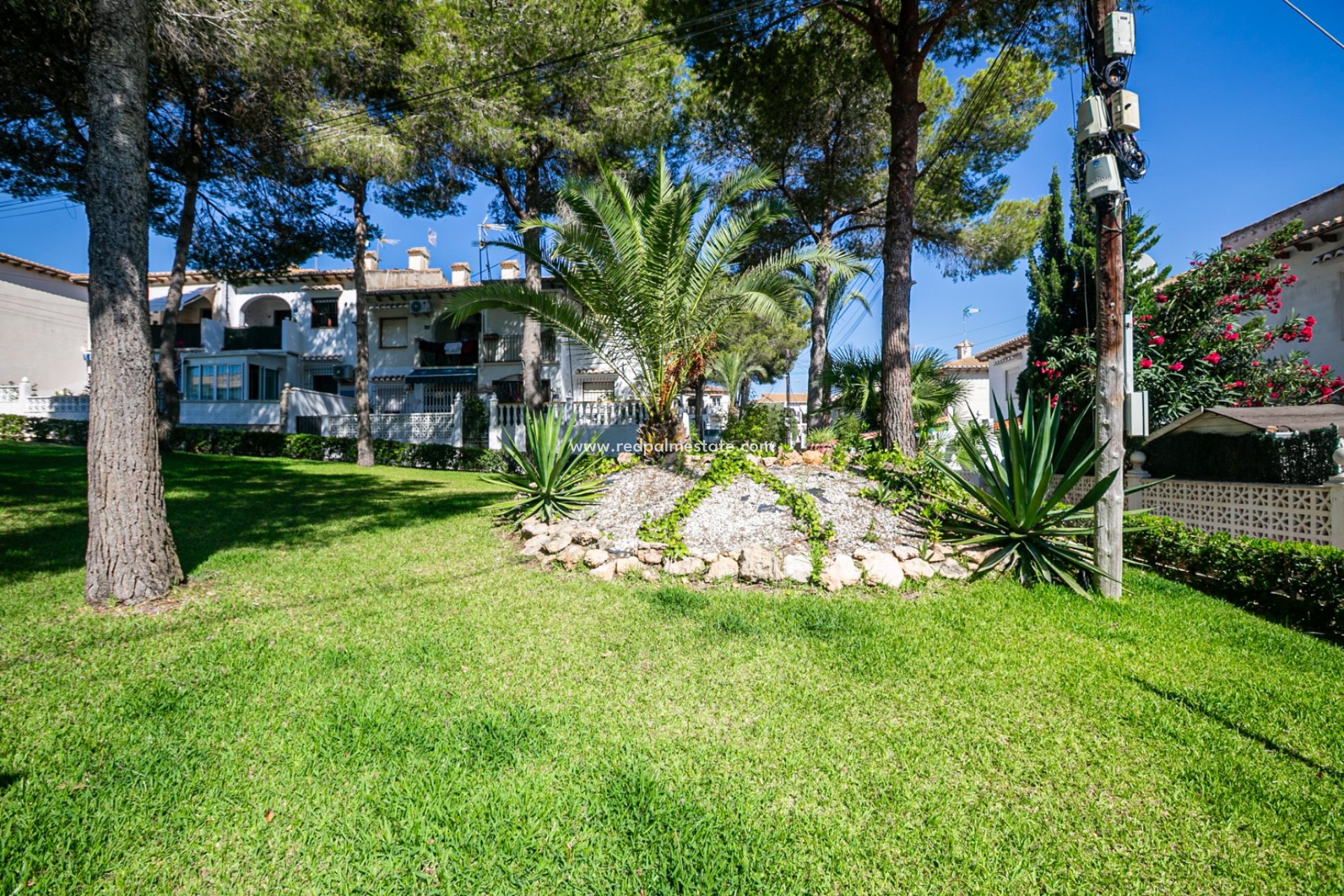 Återförsäljning - Bungalow -
Torrevieja - Los Balcones