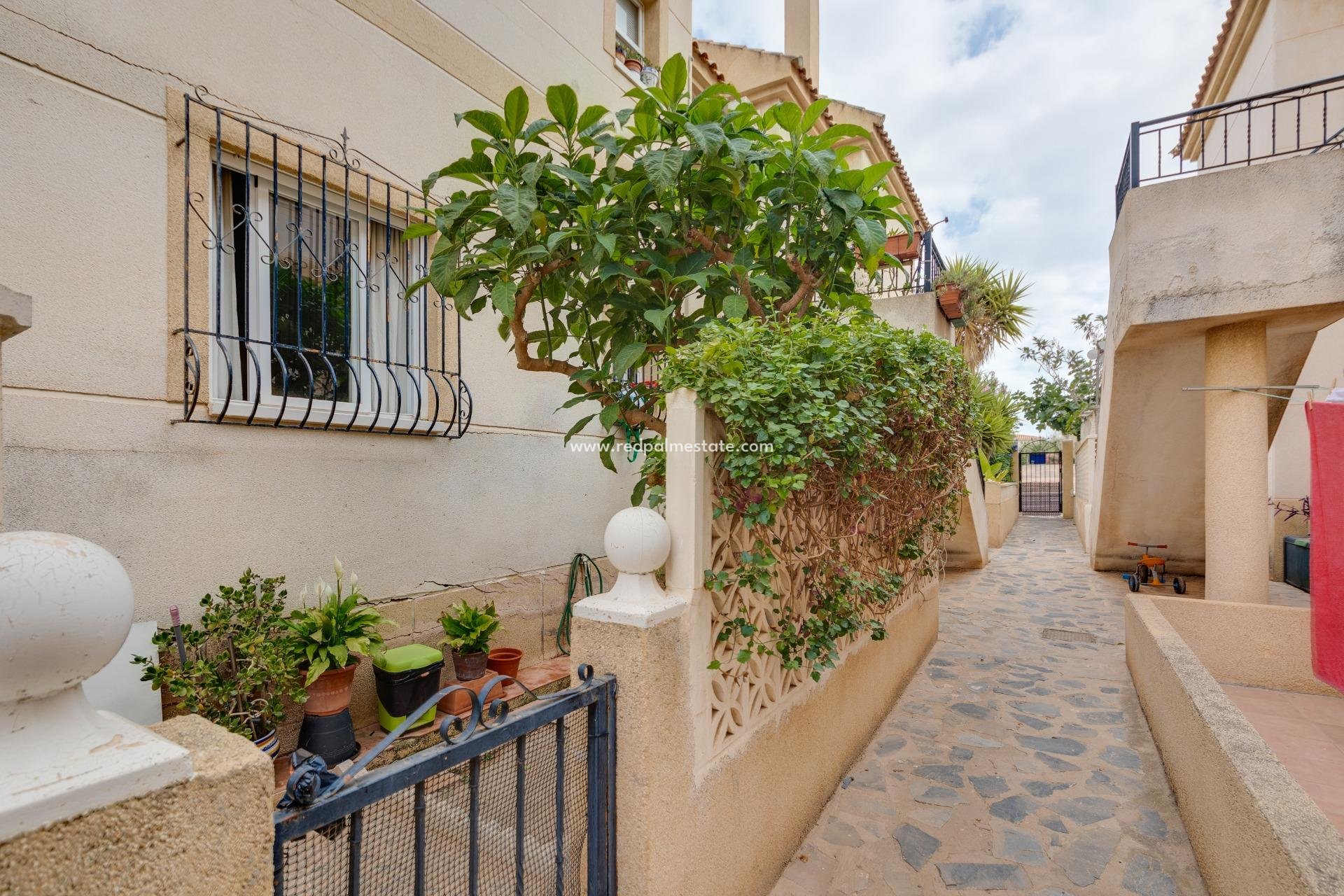 Återförsäljning - Bungalow -
Torrevieja - Nueva Torrevieja - Aguas Nuevas