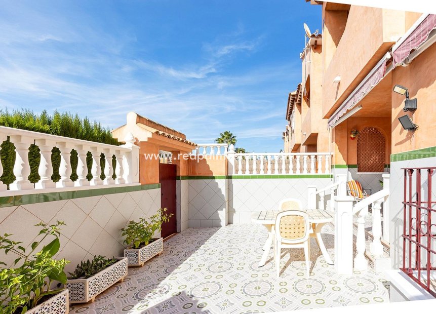 Återförsäljning - Bungalow -
Torrevieja - Nueva Torrevieja - Aguas Nuevas