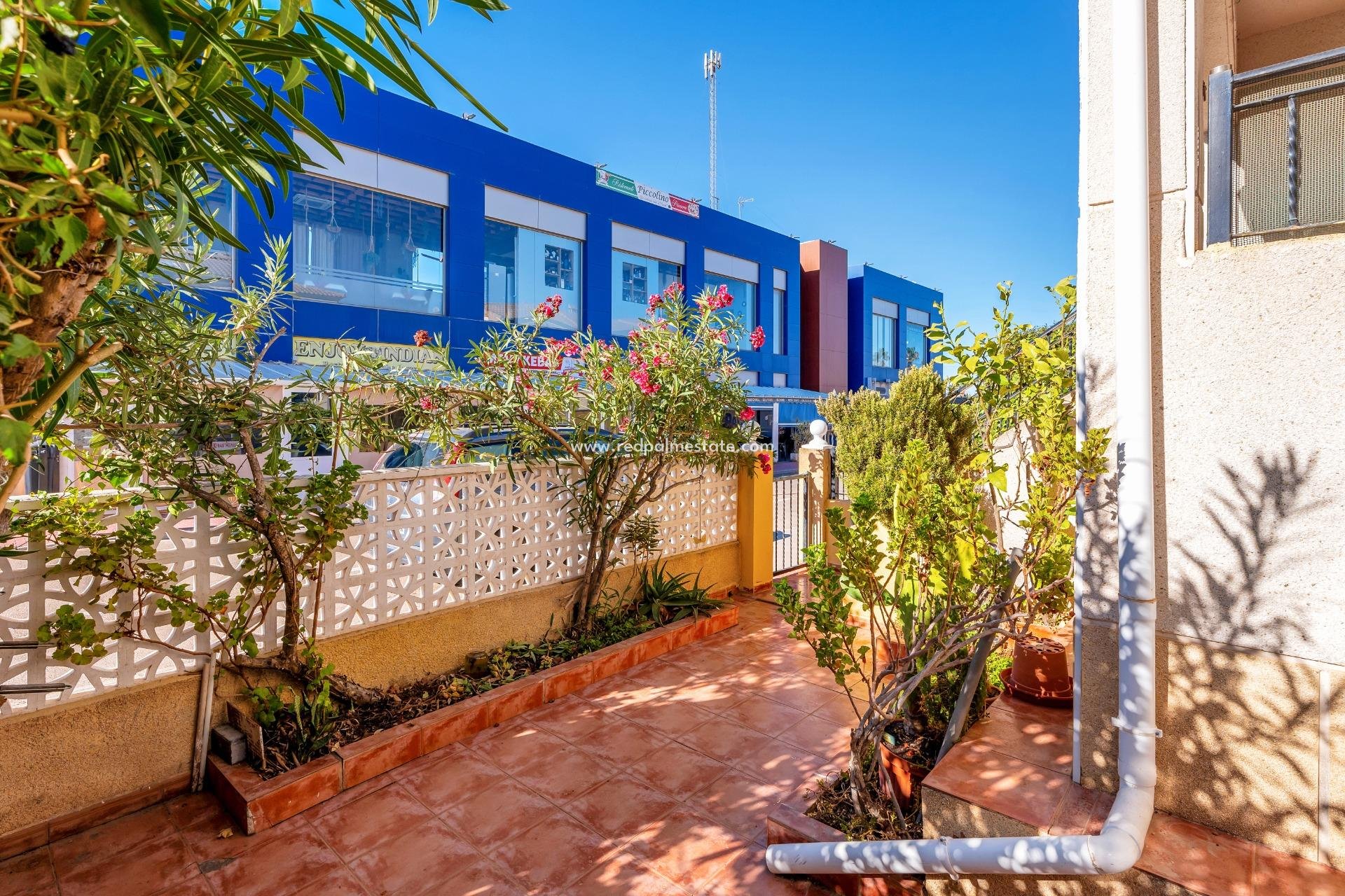 Återförsäljning - Bungalow -
Torrevieja - Nueva Torrevieja - Aguas Nuevas