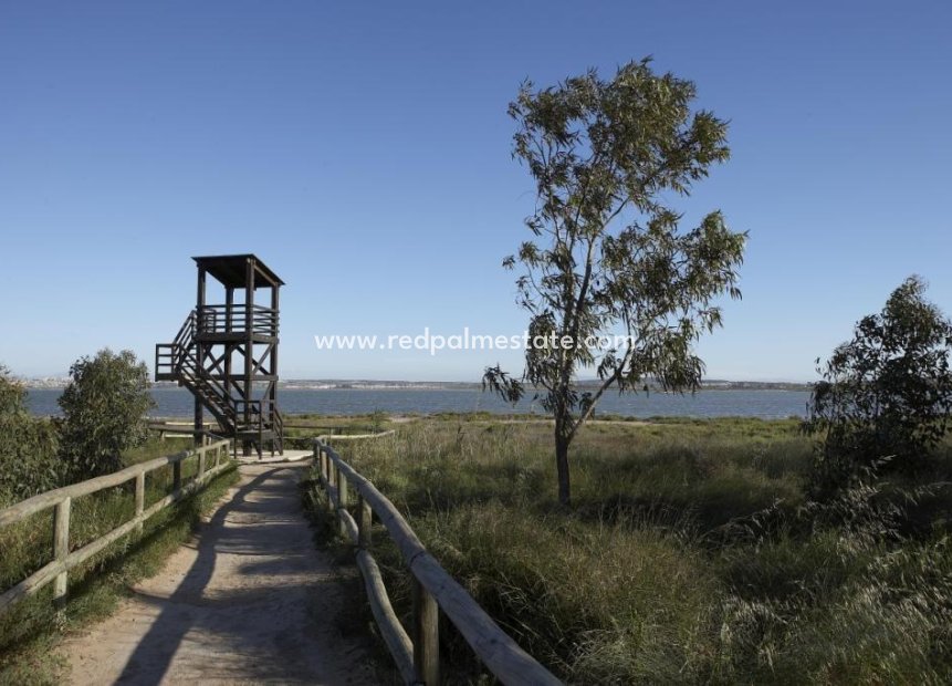 Återförsäljning - Bungalow -
Torrevieja - Nueva Torrevieja - Aguas Nuevas