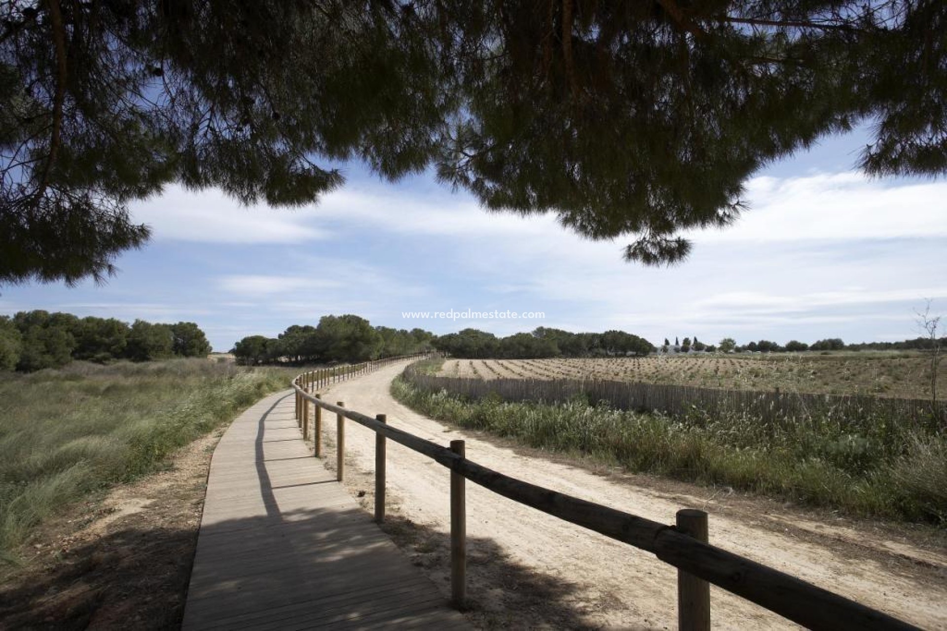 Återförsäljning - Bungalow -
Torrevieja - Nueva Torrevieja - Aguas Nuevas